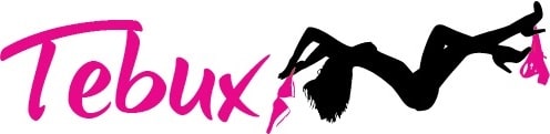 Tebux Main Logo