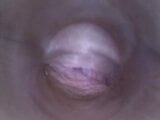 Dildocam - dünne Brünette, die ihre trockene Vagina tief am Gebärmutterhals zeigt snapshot 17