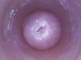 Dildocam - dünne Brünette, die ihre trockene Vagina tief am Gebärmutterhals zeigt snapshot 16