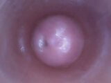 Dildocam - dünne Brünette, die ihre trockene Vagina tief am Gebärmutterhals zeigt snapshot 8
