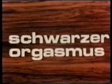 Classic Vintage Retro - Patricia Rhomberg Clip - Schwarzer Orgasmus snapshot 1