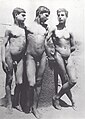 M 0119 recto. Tre giovani napoletani al mare. / Three Neapolitan youths by the sea.
