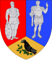 Actual Hunedoara county CoA.svg