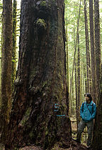 Avatar Grove, BC