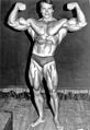 Arnold Schwarzenegger, bodybuilder (1974) (compare to female figure) (behavior: strength/muscle display)