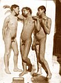 M 0145. Le tre grazie (Tre giovani nudi in piedi). / Three youths, standing naked. Cm 18x24.