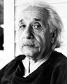 Albert Einstein (Behavior: science and mathematics)