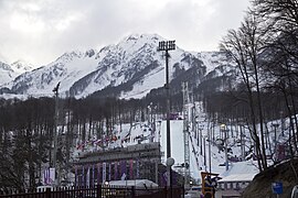 Sochi 2014 25.jpg