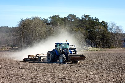 Tractor using a cultipacker in Gåseberg