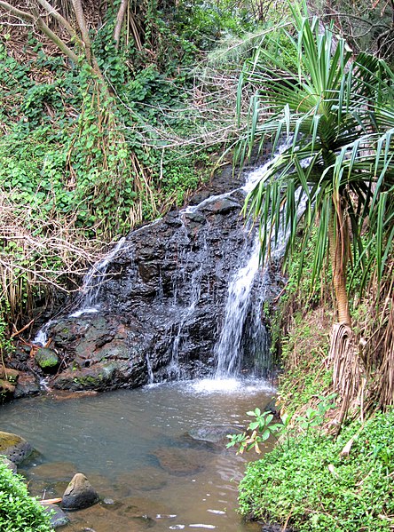 File:Wasserfall auf Kauai.jpg