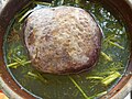 A pot of home-made half-sour pickles weighed down with a stone (Poland)