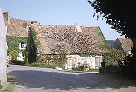 Entre Germigny-des-Près et Saint-Benoît-sur-Loire (septembre 1969).jpg