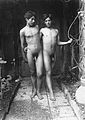 ? 3000 recto. Due giovani nudi su un vialetto / Two youths, standing naked. (Duplicate number).