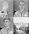 Auschwitz concentration camp inmate (Behavior: racial and tribal prejudice and genocide)
