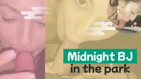 Midnight blowjobs in the park with a hot brunette