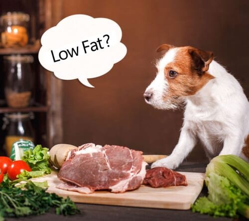 【脂質11%以下を厳選！】低脂肪ドッグフードおすすめランキングTOP10！