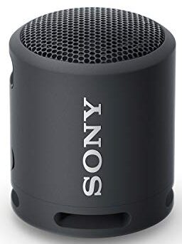 Test  besten Bluetooth-Lautsprecher: Sony XB13