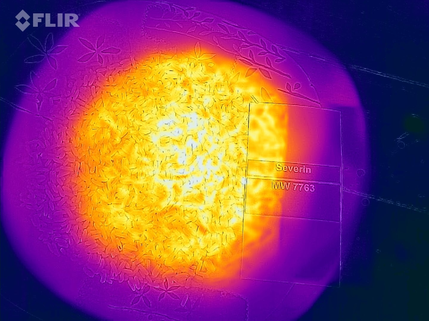 Mikrowelle Test: Flir Severin