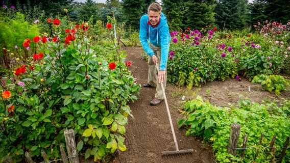 Gärtner Peter Rasch legt einen Gartenweg an. © NDR Foto: Udo Tanske