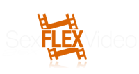 vidzflix.com