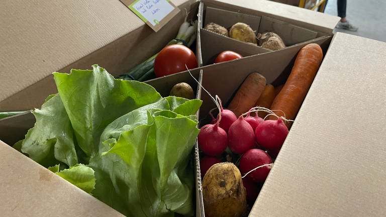 Ein Start-Up Unternehmen aus Schifferstadt will unförmige Lebensmittel in "Retterboxen" verkaufen.