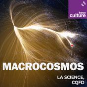 Macrocosmos