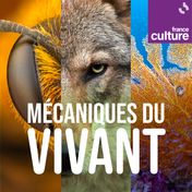 Mécaniques du vivant, la nouvelle collection de podcasts originaux, produite par Marc Mortelmans