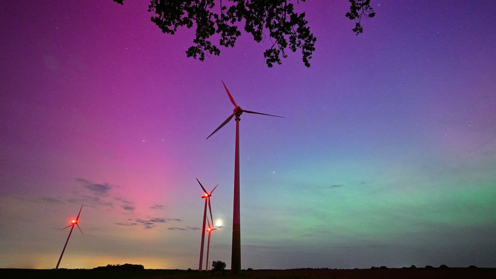 Hellgrün und violett-rötlich leuchten Polarlichter am Nachthimmel im Landkreis Oder-Spree in Ostbrandenburg. (Quelle: dpa/Pleul)