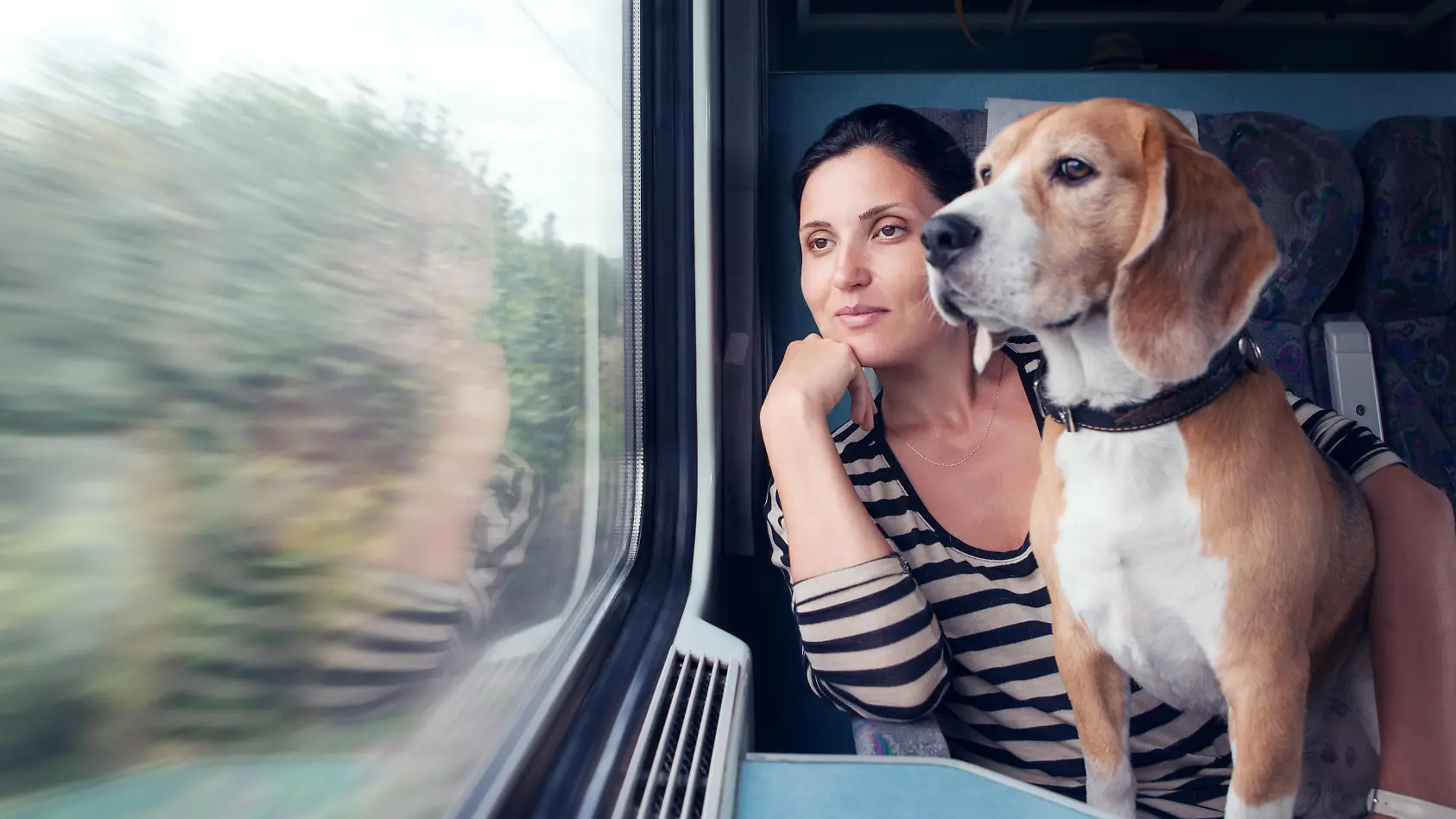 Sicher Bahnfahren mit eurem Hund