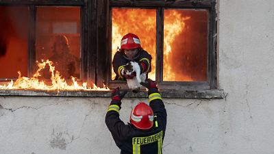 Rettet die Feuerwehr auch Haustiere, wenn es brennt?