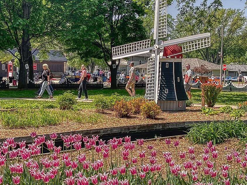 Annual Tulip Festival in Orange City, Iowa.