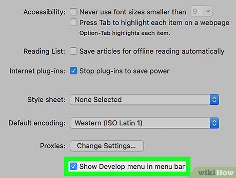 Step 1 Enable the Develop menu in Safari.