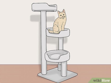 Step 4 Cung cấp cho mèo một nơi để nó có thể trốn khi bị chó đuổi.