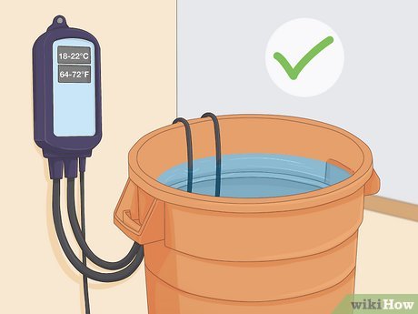 Step 5 Halte die Wassertemperatur zwischen 18°C und 22°C.