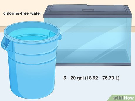 Step 1 Fülle einen Behälter mit chlorfreiem Wasser.