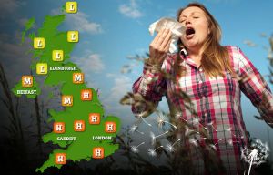 ‘Hay fever hell’ will hit half of UK tomorrow - check if you’re affected