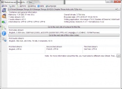 MediaInfo screenshot