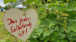 Kinderwunsch hängt am Baum des Mutwald-Festivals: Das jeder selbstständig ist