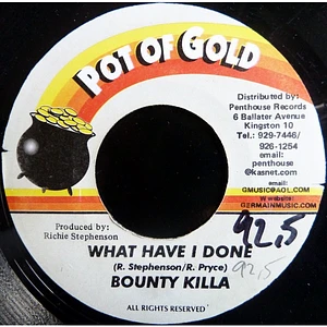 Bounty Killer - What Have I Done