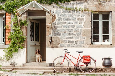 Dog-friendly cottages