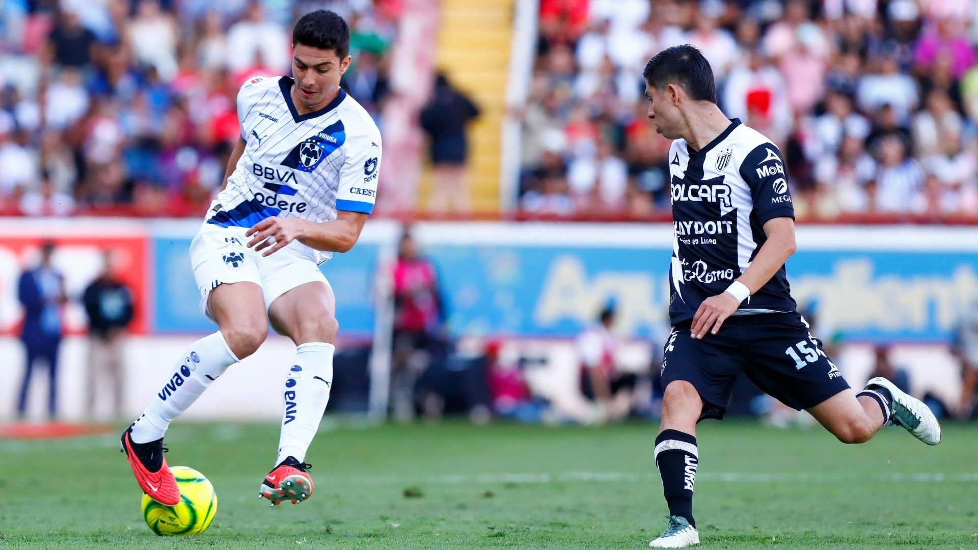 Necaxa Monterrey Clausura 2024 Liga MX