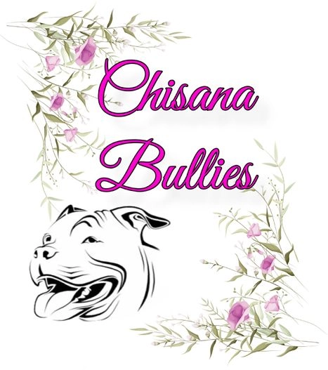 Chisana Bullies