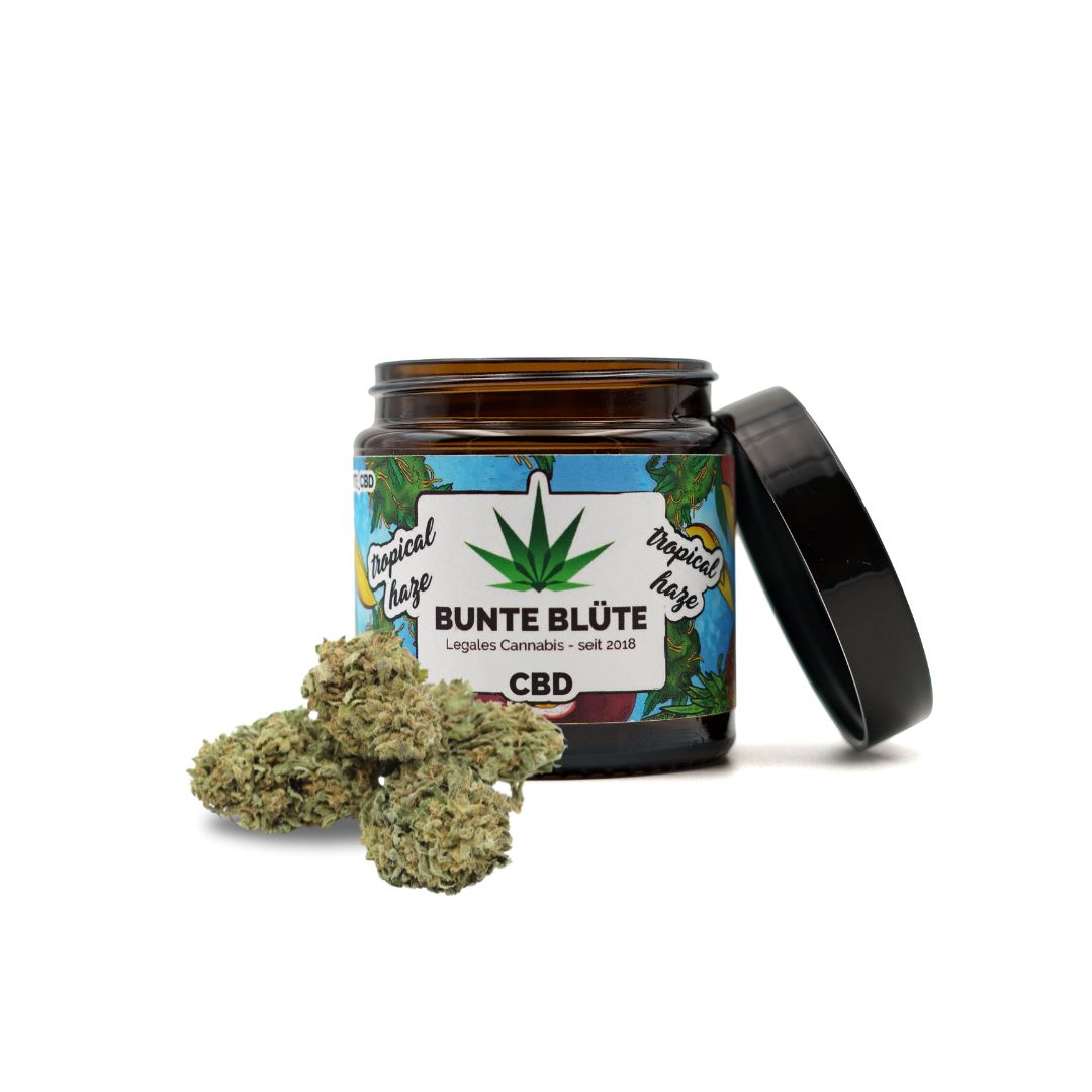 CBD-Blüte Tropical Haze 5% CBD 2g