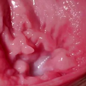 SUPER CLOSE UP - this is what the inside of the vagina looks like