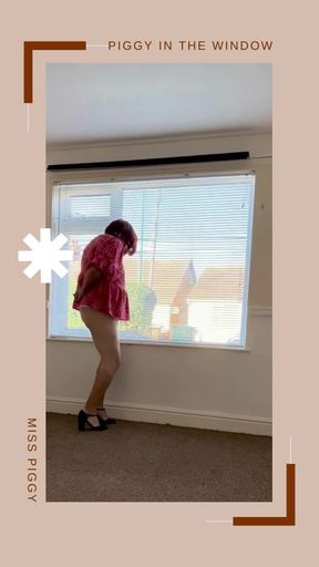 sissy in a window