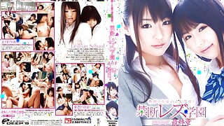 DVDES-457: Forbidden Love - Teacher &amp; Student - Tsubomi, Mamiru Momone - EroJapanese.com