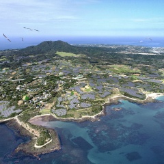 九電工や京セラ、五島列島で動き出すメガソーラー　住民説明会90回超