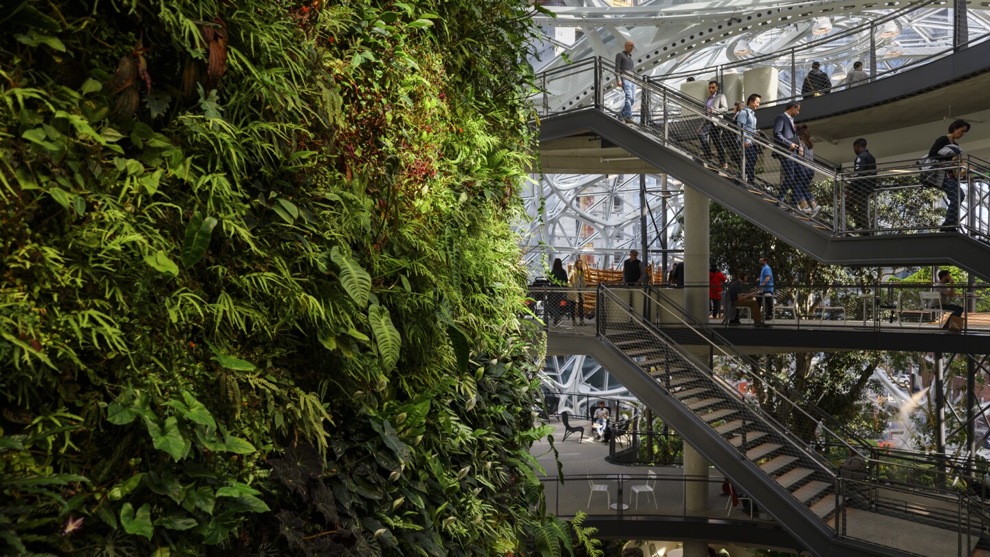 Green wall in Amazon spheres, people on stairs on right.
