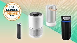 Air purifiers on a green background