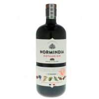 Normindia Gin 0,7L (41,4% Vol.)